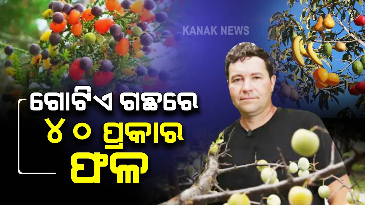  ଗଛ ଗୋଟିଏ , ଫଳୁଛି ୪୦ ପ୍ରକାର ଫଳ