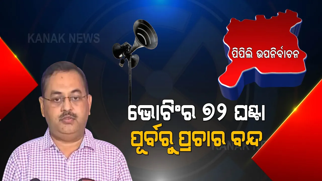 କେମିତି ପଡିବ ପିପିଲି ଭୋଟ ? ସିଇଓ ଦେଲେ ସୂଚନା
