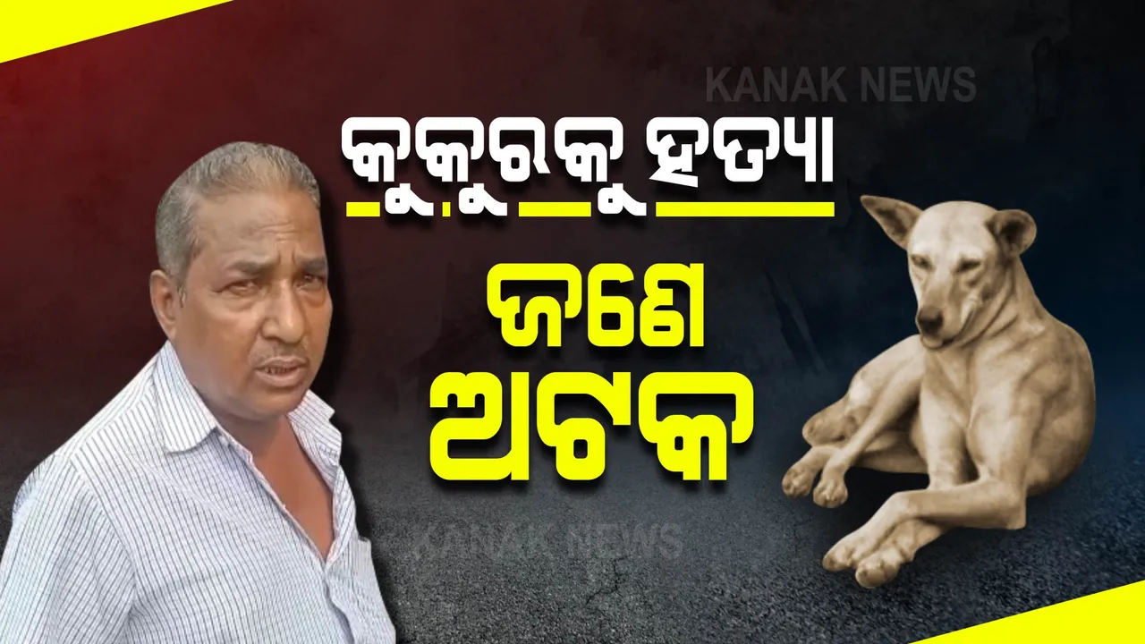  କୁକୁରକୁ ବିଷ ଦେଇ ମାରିବା ପଡିଲା ମହଙ୍ଗା : ଚୌଦ୍ୱାର ପୁଲିସର ତନାଘନା; ଜଣେ ଅଟକ