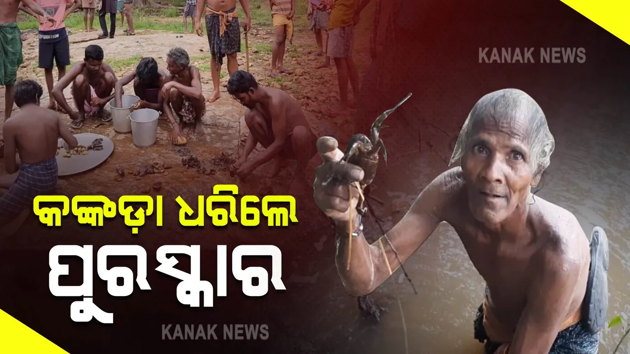  ସମ୍ବଲପୁରରେ ନିଆରା ପ୍ରତିଯୋଗିତା : ଯିଏ ଅଧିକ କଙ୍କଡ଼ା ଧରିବ ତାକୁ ପୁରସ୍କାର ଦିଆଯିବ