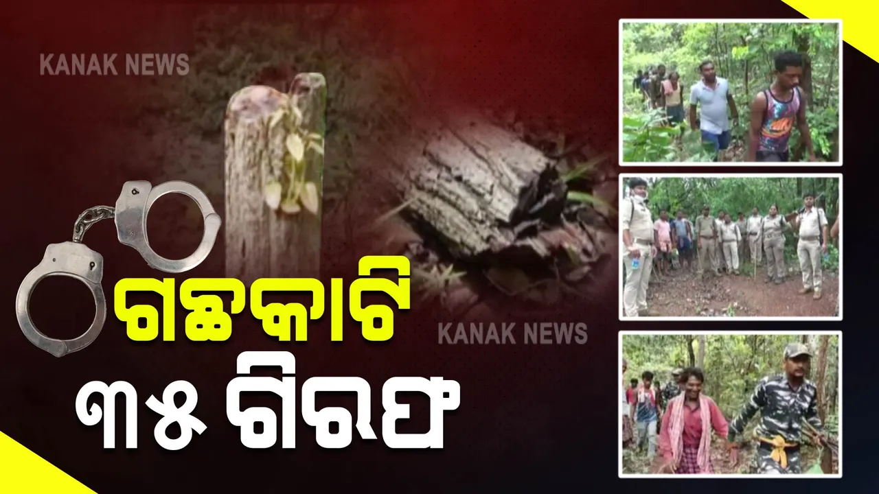  ମହଙ୍ଗା ପଡ଼ିଲା ଜଙ୍ଗଲ କାଟି ଘର କରିବା : ୩୫ ଜଣଙ୍କୁ ବାନ୍ଧିଲା ରେଢ଼ାଖୋଲ ବନବିଭାଗ