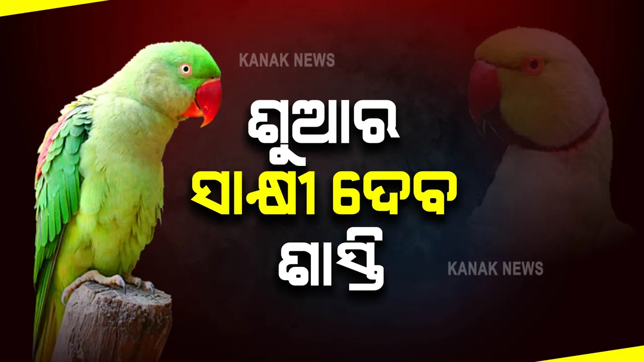  ଶୁଆର ସାକ୍ଷୀ ଆଧାରରେ ହେବ ଅଭିଯୁକ୍ତଙ୍କୁ ଶାସ୍ତି: ବାରମ୍ବାର ଦୋହାରାଉଛି ମାଲିକାଣିଙ୍କ ଚିତ୍କାର