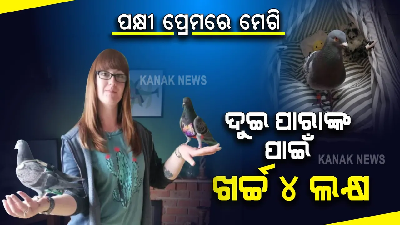  ପକ୍ଷୀ ପ୍ରେମରେ ମେଗି: ଦୁଇ ପାରାଙ୍କ ପାଇଁ ଖର୍ଚ୍ଚ ୪ ଲକ୍ଷ