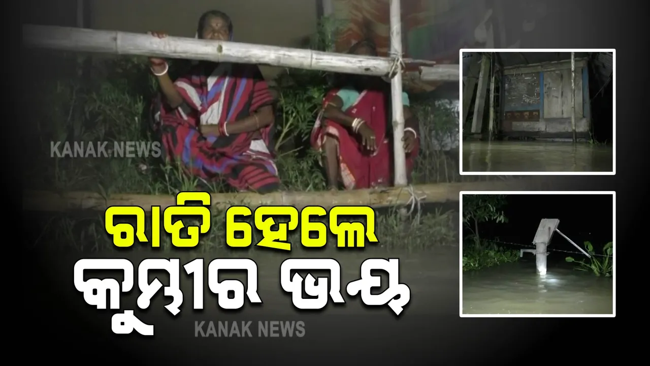  ବ୍ରାହ୍ମଣୀ ନଦୀର ବନ୍ୟା ଜଳ : ଗାଁ ଦାଣ୍ଡରେ ଲହଡି ମାରୁଛି ପାଣି, ରାତି ହେଲେଘାରୁଛି କୁମ୍ଭୀର ଭୟ