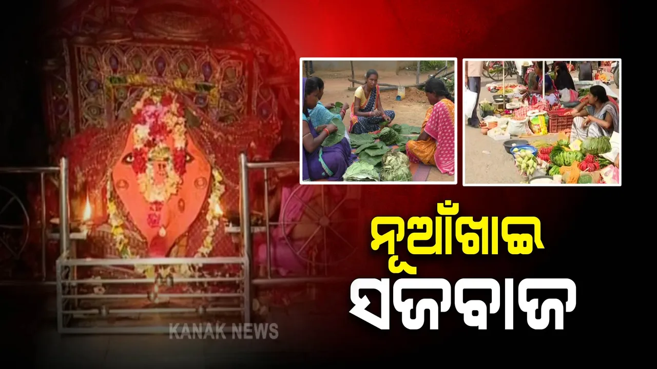  ଆସନ୍ତାକାଲି ପଶ୍ଚିମ ଓଡ଼ିଶାର ଗଣପର୍ବ ନୂଆଁଖାଇ : ଗାଁଠୁ ସହର ସବୁ ଚଳଚଂଚଳ