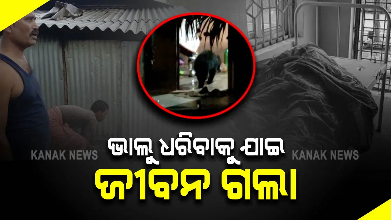  ଭାଲୁ ଧରିବାକୁ ଯାଇ ଜୀବନ ଗଲା : ଏଭଳି ଅଭାବନୀୟ ଘଟଣା ଘଟିଛି ମାଲକାନାଗିରି ଜିଲ୍ଲାରେ