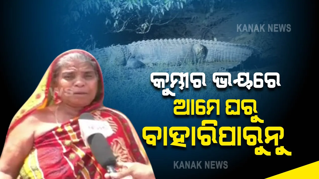  ରାଜକନିକାରେ ଆଣ୍ଠୁଏ ଉଚ୍ଚର ପାଣି । ନଦୀ ପାଖ ଲୋକଙ୍କୁ ଘାରିଛି କୁମ୍ଭୀର ଭୟ