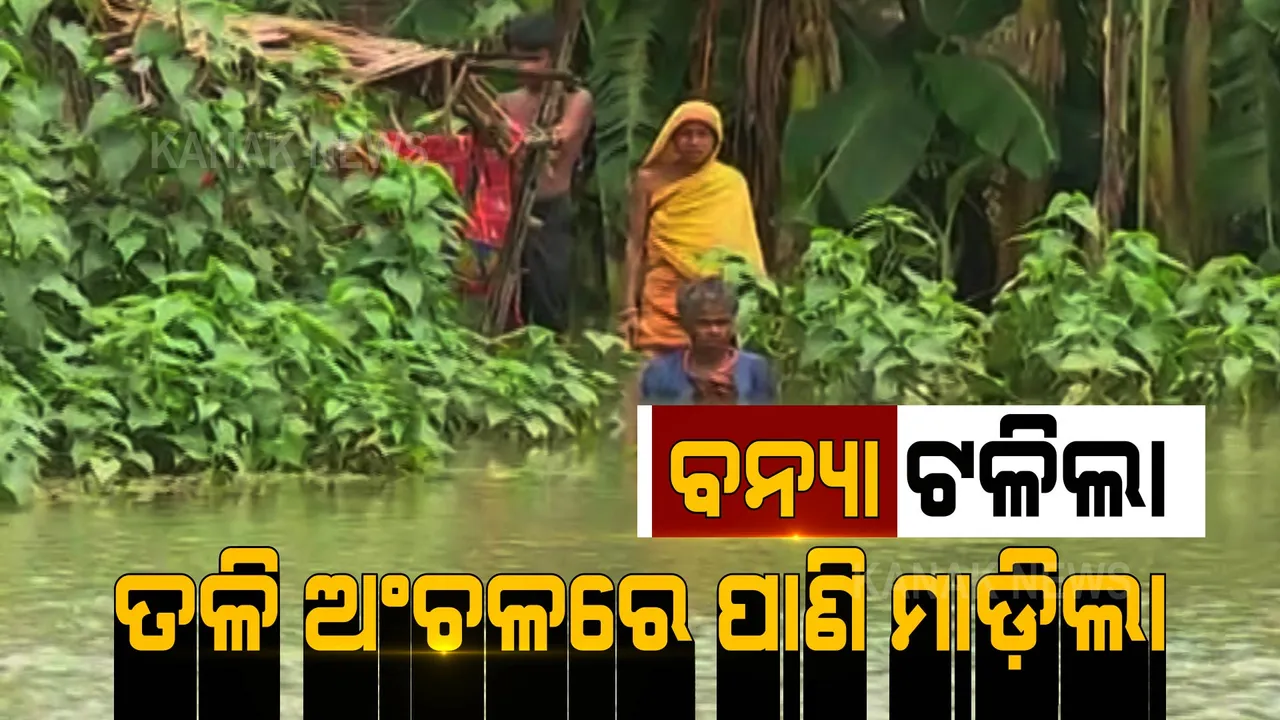  ବନ୍ୟା ଟଳିଗଲା, ହେଲେ ତଳିଆ ଅଞ୍ଚଳରେ ପଶିଲା ପାଣି । ପଢନ୍ତୁ, ରାଜ୍ୟର କେଉଁ ସ୍ଥାନରେ କିପରି ରହିଛି ବନ୍ୟା ସ୍ଥିତି...
