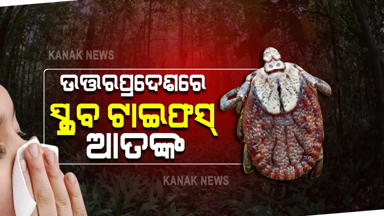  ଉତ୍ତରପ୍ରଦେଶରେ ସ୍କ୍ରବ ଟାଇଫସ୍ ଆତଙ୍କ: ପୋକ କାମୁଡାରେ ହେଉଛି ଜ୍ୱର ,୬୦ରୁ ଉର୍ଦ୍ଧ୍ୱ ଆକ୍ରାନ୍ତ, ୧୦ ମୃତ
