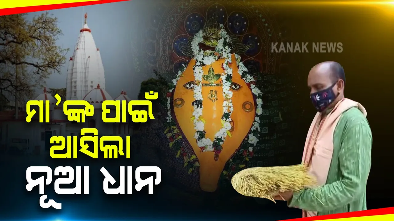  ଆସନ୍ତା ୧୧ରେ ପଶ୍ଚିମ ଓଡ଼ିଶାର ଗଣପର୍ବ ନୂଆଁଖାଇ : ସମଲେଶ୍ୱରୀ ମନ୍ଦିରକୁ ଆସିଲା ନୂଆ ଧାନ