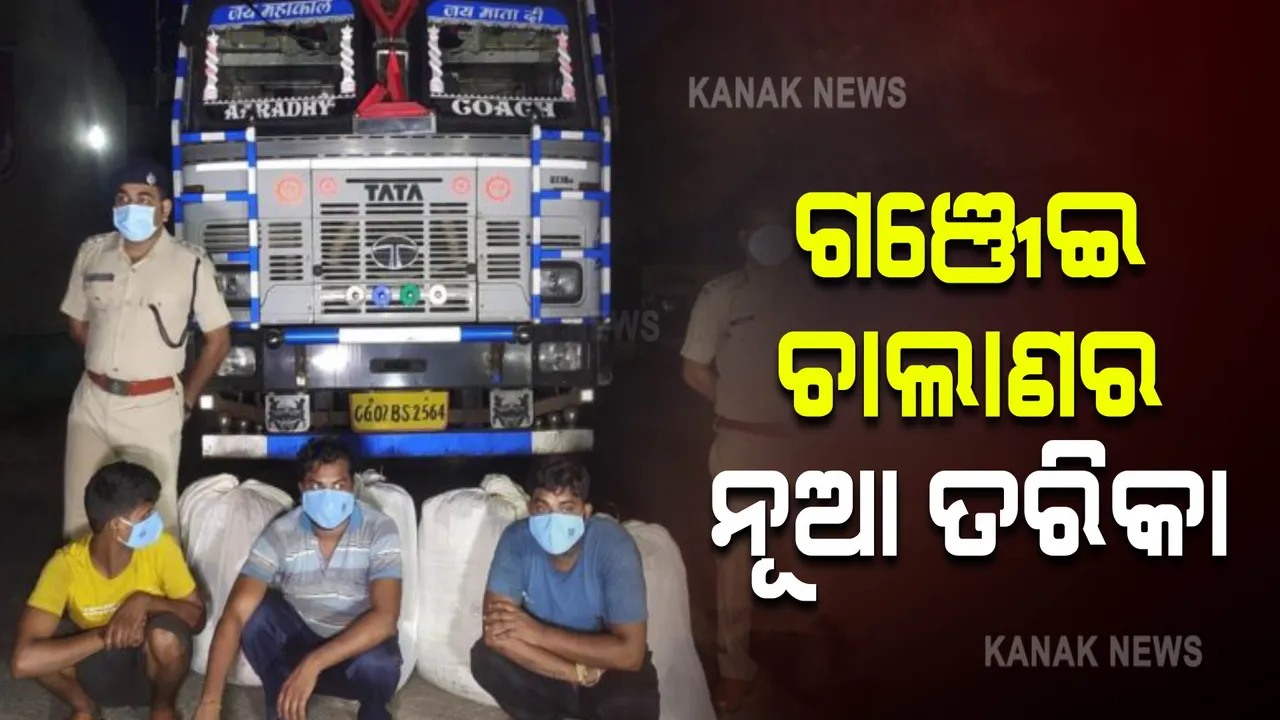  ଗଞ୍ଜେଇ ଚାଲାଣର ନୂଆ ତରିକା : ଉପରେ କୋଇଲା, ତଳେ ଟନ୍ ଟନ୍ ଗଞ୍ଜେଇ