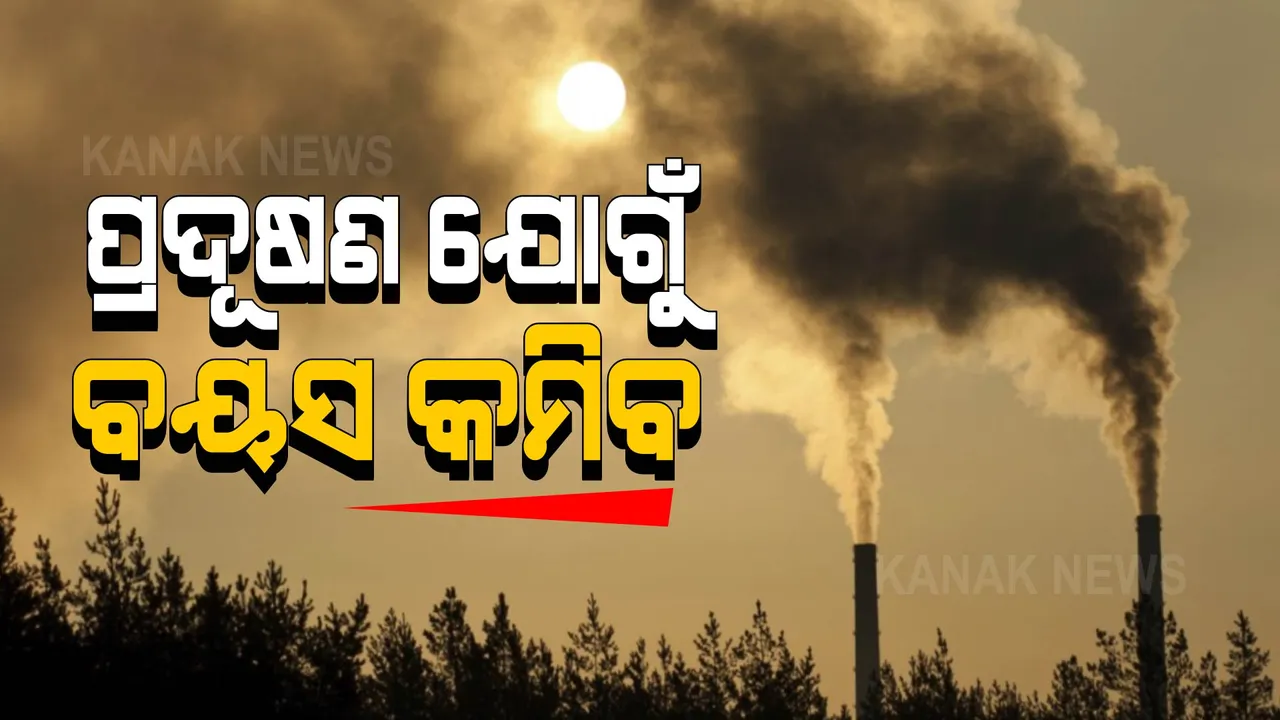  ବୟସ କମାଇ ଦେଉଛି ପ୍ରଦୂଷଣ : ଚିକାଗୋ ୟୁନିଭର୍ସିଟିର ସର୍ଭେରୁ ଆସିଲା ଆଶ୍ଚର୍ଯ୍ୟଜନକ ତଥ୍ୟ