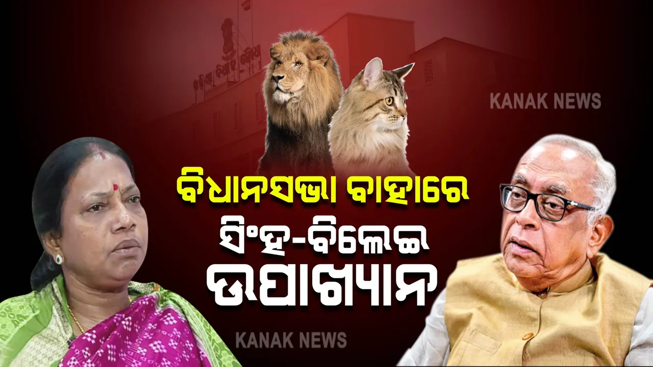 ବିଧାନସଭା ବାହାରେ ସିଂହ-ବିଲେଇ ଉପାଖ୍ୟାନ । 