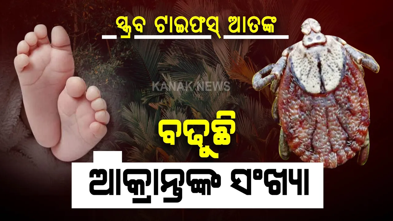  ଉତ୍ତରପ୍ରଦେଶ ପରେ ଏବେ ମଧ୍ୟପ୍ରଦେଶ, ବିହାରରେ ପରିସ୍ଥିତି ଅସମ୍ଭାଳ: ସ୍କ୍ରବ ଟାଇଫସ୍ ଜ୍ୱରରେ ୨୬ ଶିଶୁ ମୃତ, ହଜାରେରୁ ଉର୍ଦ୍ଧ୍ୱ ଆକ୍ରାନ୍ତ