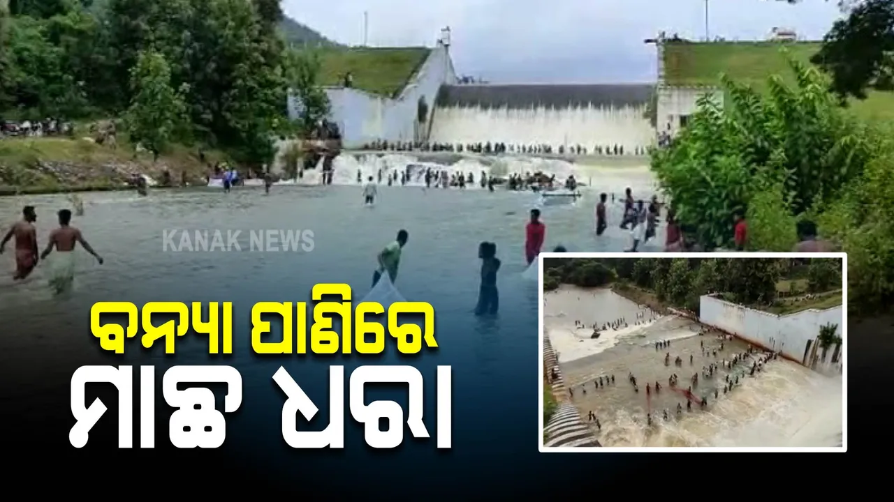  ବନ୍ୟା ପାଣିରେ ମାଛ ଧରା