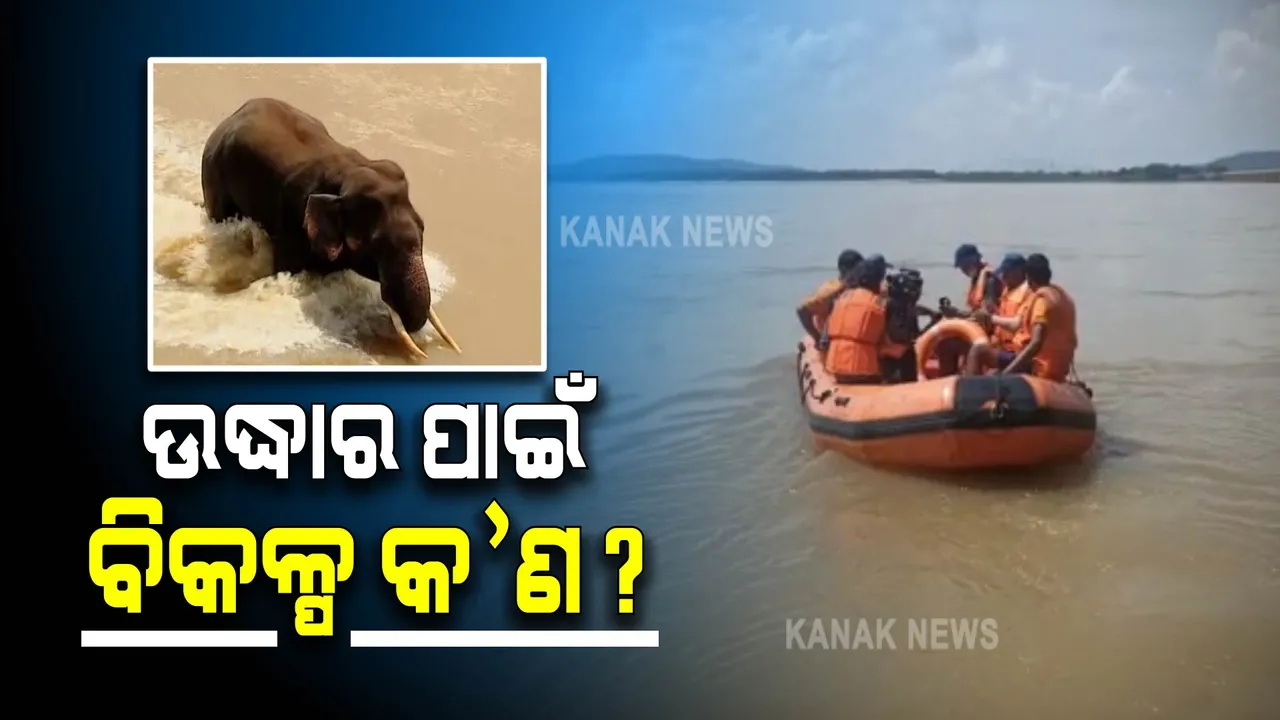  କେମିତି କୂଳକୁ ଆସିବ ଦନ୍ତା ? ବିଶେଷଜ୍ଞଙ୍କ ମତ, ପାଣିର ସ୍ରୋତ କମାଇଲେ ଉଦ୍ଧାର ସମ୍ଭବ