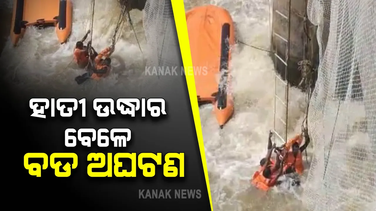  ହାତୀକୁ ଉଦ୍ଧାର ବେଳେ ବଡ ଅଘଟଣ । ମହାନଦୀ ମଝିରେ ଓଲଟିଲା ଓଡ୍ରାଫ ବୋଟ,  ଦୁର୍ଘଟଣାଗ୍ରସ୍ତ ବୋଟରେ ଥିଲେ ଗଣମାଧ୍ୟମ ପ୍ରତିନିଧି ।