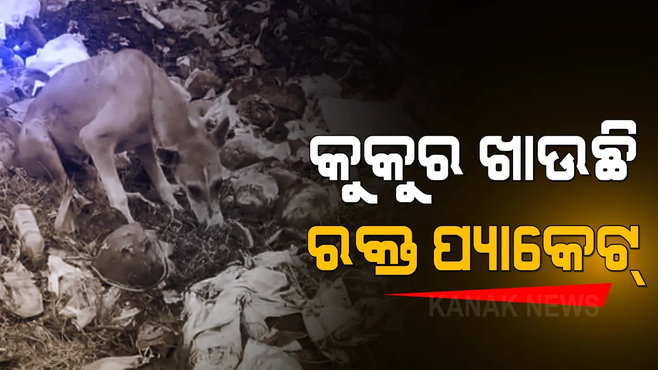  କୁକୁର ଖାଉଛି ରକ୍ତ ପ୍ୟାକେଟ୍ । ତାଳଚେର ଡାକ୍ତରଖାନାରେ ବଡ ଅବ୍ୟବସ୍ଥା 
