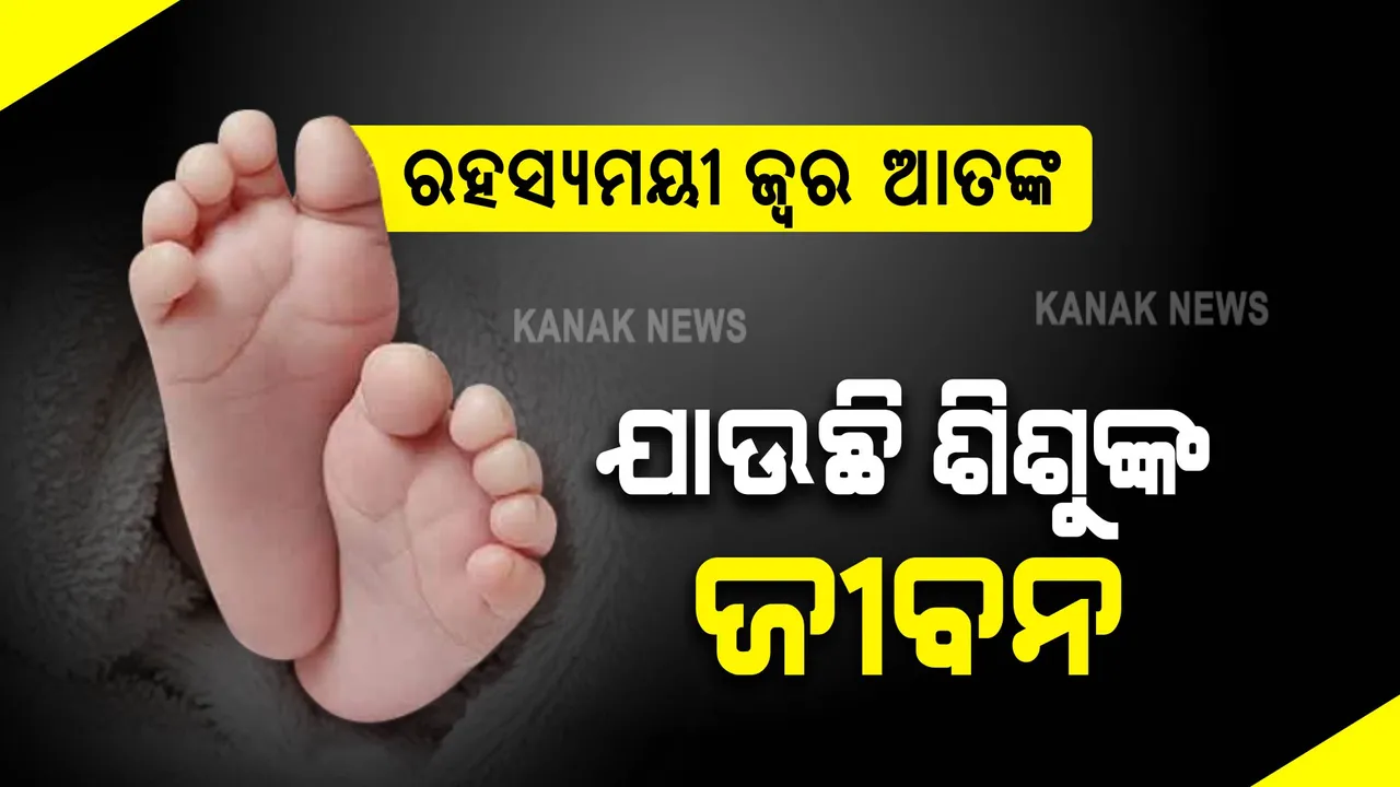 ୟୁପି ପରେ ହରିୟାଣା: ରହସ୍ୟମୟୀ ଜ୍ୱରରେ ଯାଉଛି ଶିଶୁଙ୍କ ଜୀବନ, ଇନ୍ଦୋର ଡେଙ୍ଗୁର ହଟସ୍ପଟ୍