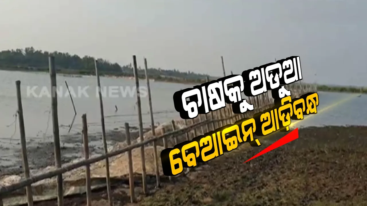  ଚାଲିଛି ନଦୀ ମାଫିଆଙ୍କ ରାଜ୍: ବେଆଇନ୍ ଆଡିବନ୍ଧ ଯୋଗୁଁ ଉଜୁଡି ଯାଉଛି ଚାଷ