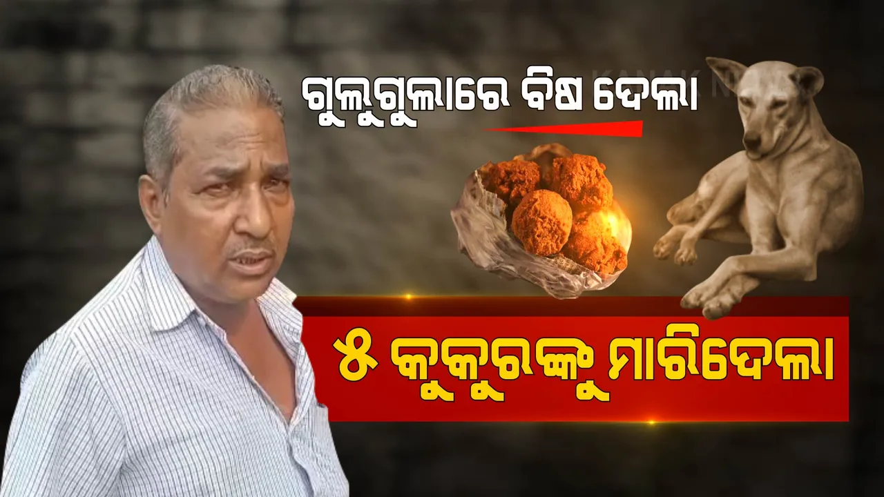  ଗୁଲଗୁଲାରେ ବିଷ ଦେଇ ୫ଟି କୁକୁରଙ୍କୁ ମାରିଦେଲା ମଣିଷ । କଟକରୁ ଆସିଲା ମଣିଷସମାଜର ମୁଣ୍ଡ ନୁଆଁଇଦେବା ଭଳି ଖବର ।