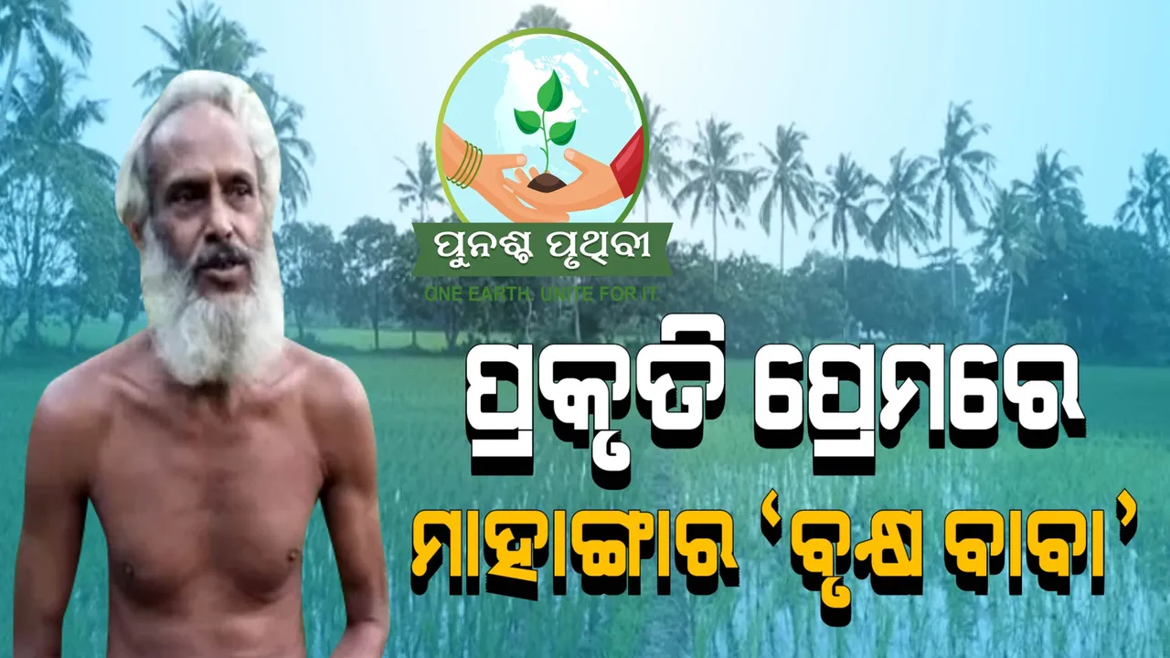  ମାହାଙ୍ଗାର ଗଛ ବାବା: ବୃକ୍ଷରୋପଣ ପାଇଁ ବାହା ହୋଇନାହାନ୍ତି