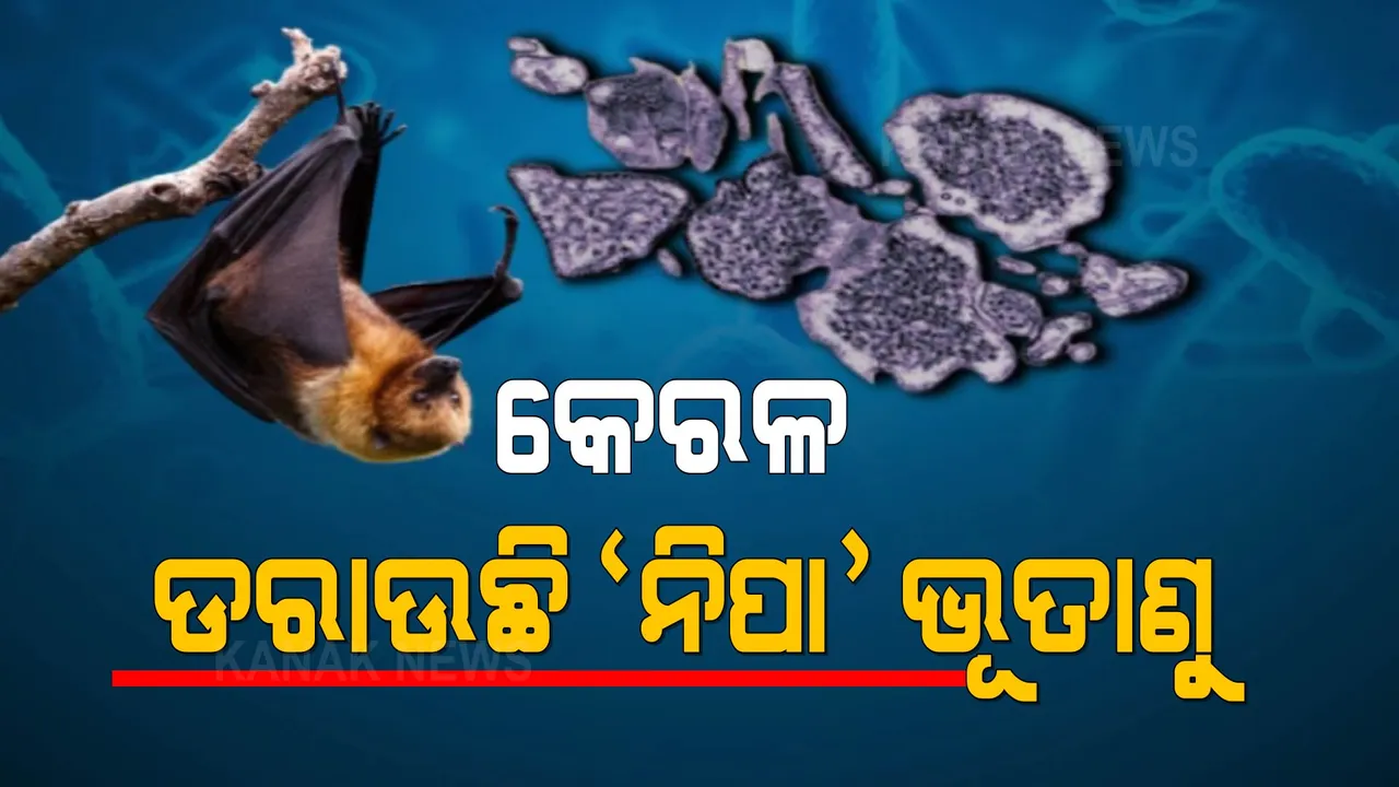  କରୋନା ପରେ ନିପାକୁ ନେଇ ଆତଙ୍କ । କୋଏମ୍ବଟୁରରେ ୨ ଜଣ ଆକ୍ରାନ୍ତ ଚିହ୍ନଟ ।