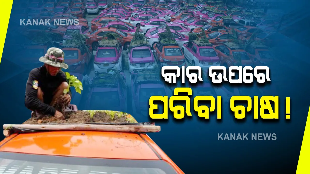  କାର ଉପରେ ଚାଷ! କାରଣ କ’ଣ?