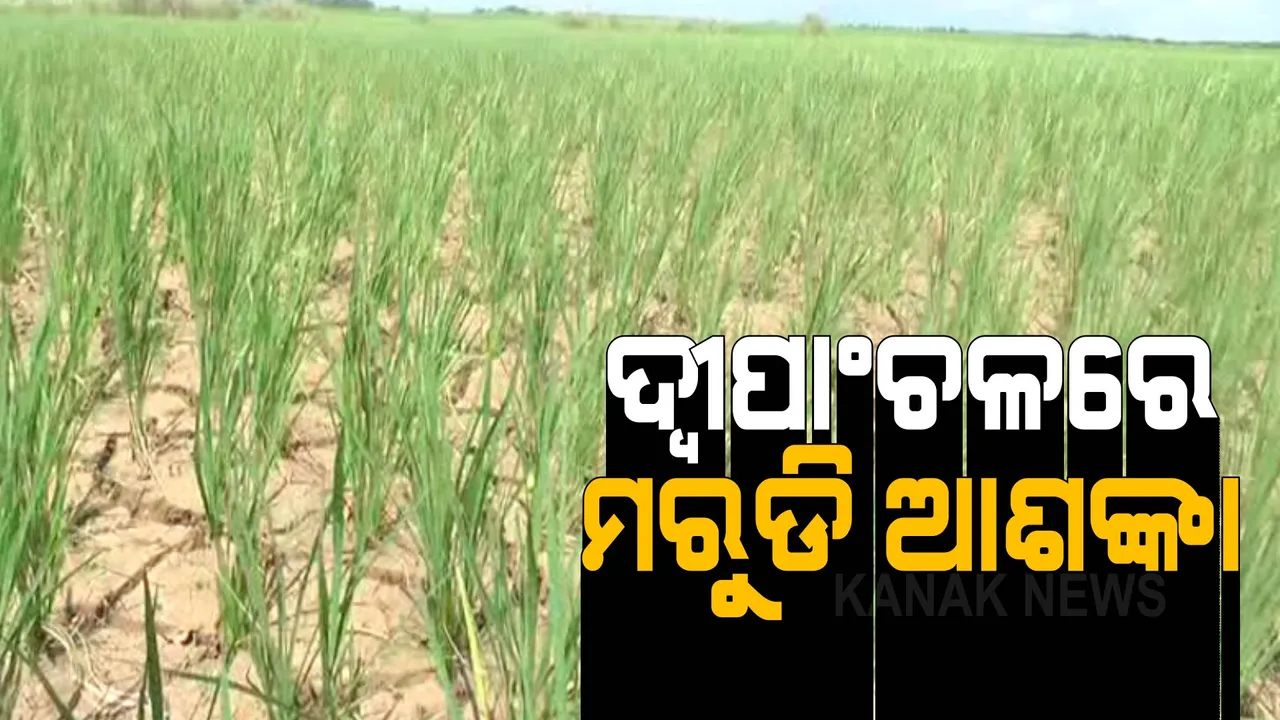  ଶୁଖିଲା ପଡିଛି ଦେବୀ ନଦୀ । ଚାଷ କାମରେ ଲାଗୁନି ଉଠା ଜଳସେଚନ ପ୍ରକଳ୍ପ ।
