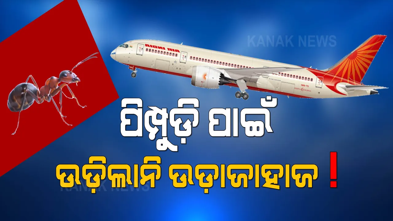  ପିମ୍ପୁଡ଼ି ପାଇଁ ଉଡ଼ିଲାନି ଉଡ଼ାଜାହାଜ ! ଉଡ଼ାଣ ବାତିଲ କଲା ଏୟାର ଇଣ୍ଡିଆ, ଜାଣନ୍ତୁ ପୂରା ଘଟଣା । 