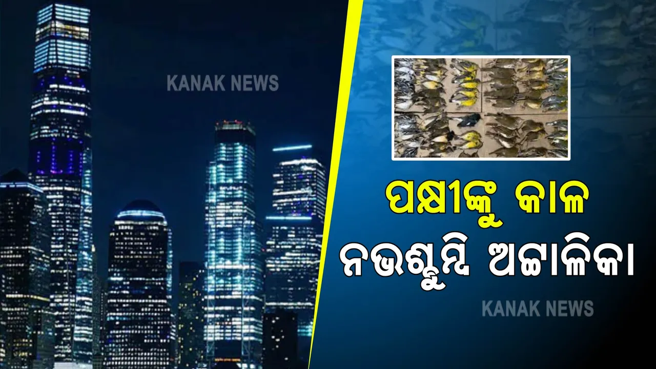  ପକ୍ଷୀଙ୍କୁ କାଳ ହେଉଛି ସୁଉଚ୍ଚ କୋଠା : ୱାର୍ଲ୍ଡ ଟ୍ରେଡ୍ ସେଣ୍ଟର ନିକଟରେ ମାଳମାଳ ମଲା ପକ୍ଷୀ, ପରିବେଶବିତଙ୍କ ମଧ୍ୟରେ କ୍ଷୋଭ