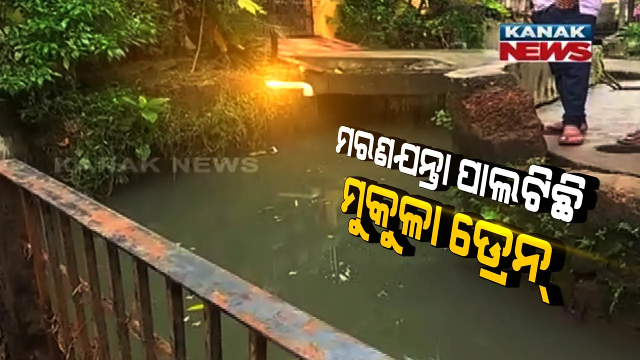 ସ୍ମାଟ ସିଟିରେ ମରଣ ଯନ୍ତା ପାଲଟିଛି ମୁକୁଳା ଡ୍ରେନ : ୬ ବର୍ଷରେ ଗଲାଣି ୬ରୁ ଅଧିକ ଜୀବନ