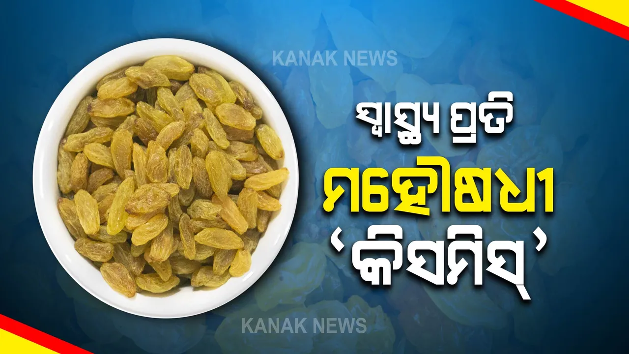  ସ୍ୱାସ୍ଥ୍ୟ ପାଇଁ ଉପକାରୀ କିସମିସ୍ । ଖାଇଲେ କ’ଣ ହେବ ଜାଣନ୍ତୁ..
