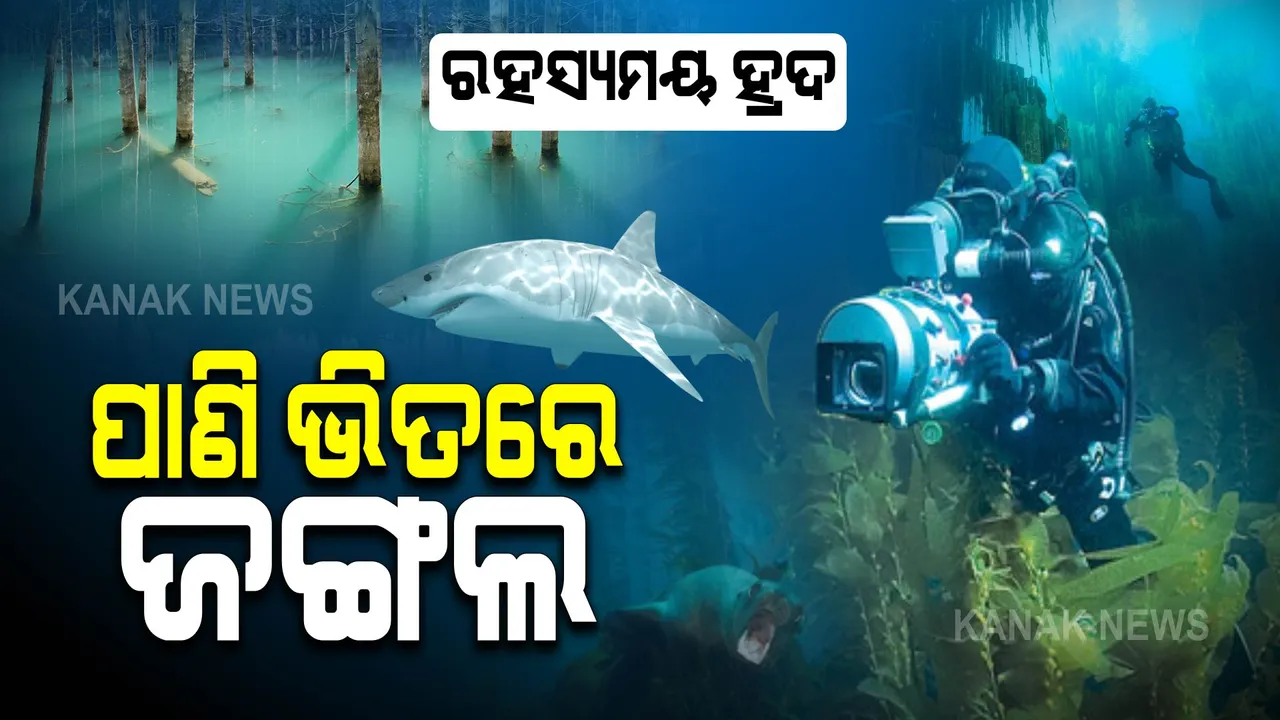  ରହସ୍ୟରେ ଭରା ‘ଲେକ୍ କ୍ୟାଣ୍ଡି’ : ହ୍ରଦ ଭିତରେ ଜଙ୍ଗଲ