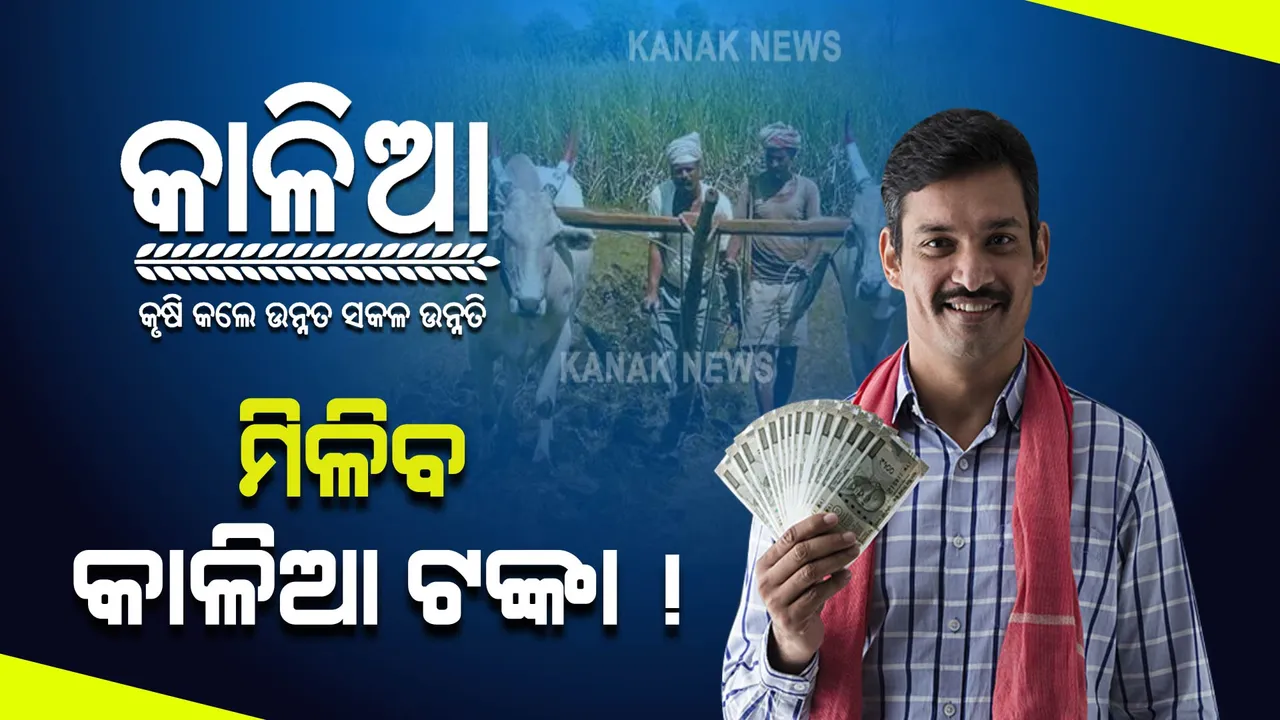  ଚାଷୀଙ୍କୁ ମୁଖ୍ୟମନ୍ତ୍ରୀଙ୍କ ନୂଆଖାଇ ଭେଟି । ମିଳିବ ‘କାଳିଆ’ ଟଙ୍କା  !