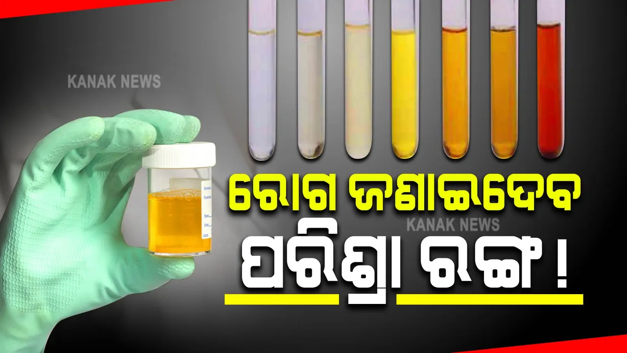  ପରିଶ୍ରା ରଙ୍ଗ ପରିବର୍ତ୍ତନ କେଉଁ ରୋଗକୁ କରେ ଆମନ୍ତ୍ରଣ ? ପରିଶ୍ରା ରଙ୍ଗ ଜଣାଇବ ଆପଣଙ୍କୁ ହୋଇଛି କେଉଁ ରୋଗ !  