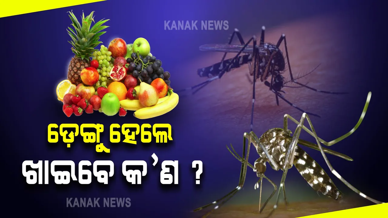  ଡ଼େଙ୍ଗୁ ଭୁତାଣୁରୁ ଉପଶମ ଦେବ ଏହି ଖାଦ୍ୟ ପଦାର୍ଥ । ଡ଼େଙ୍ଗୁ ହେଲେ କ’ଣ ଖାଇବେ ଜାଣନ୍ତୁ