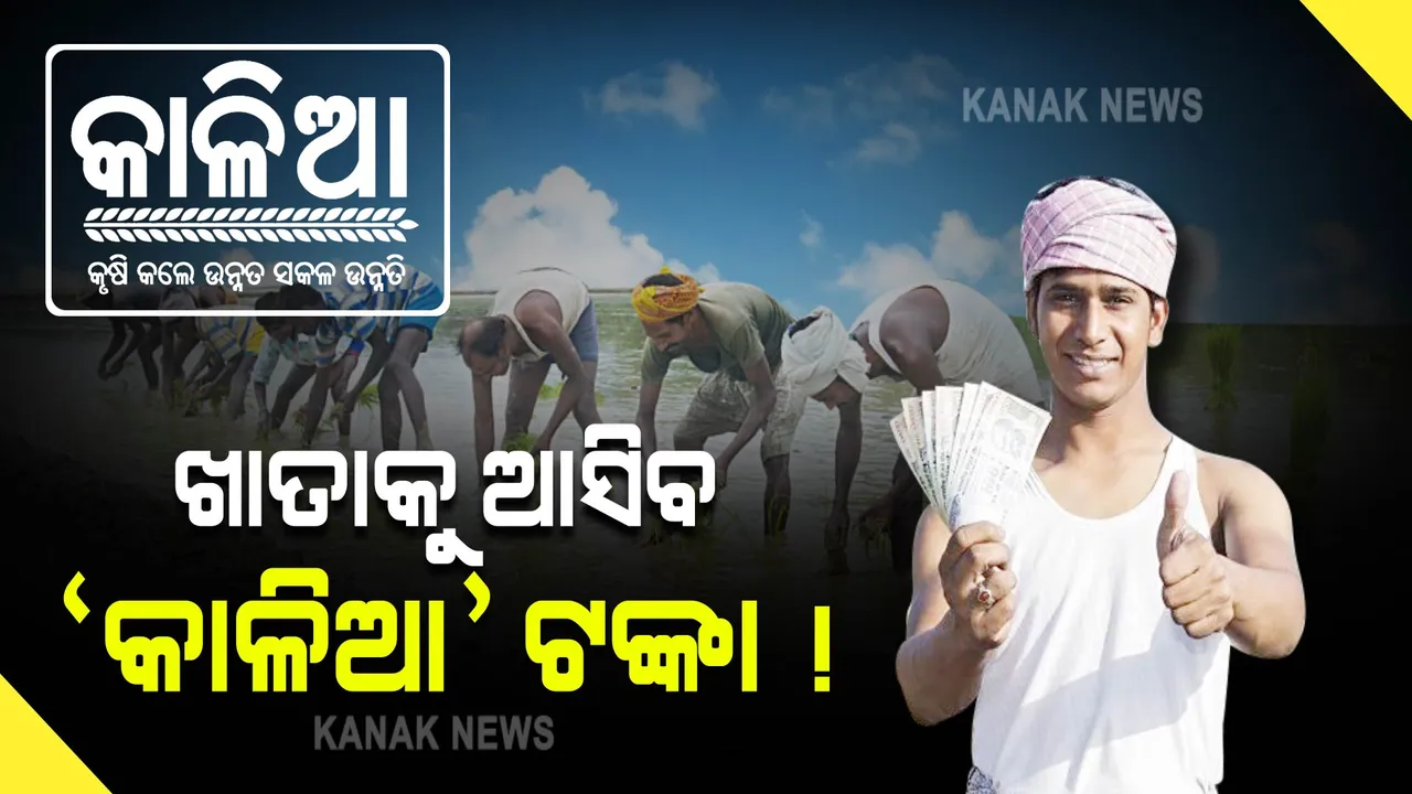  ଆଜି ଖାତାକୁ ଆସିବ 'କାଳିଆ' ଟଙ୍କା ! ପୁରୀବାସୀଙ୍କୁ ମିଳିବନି ସହାୟତା