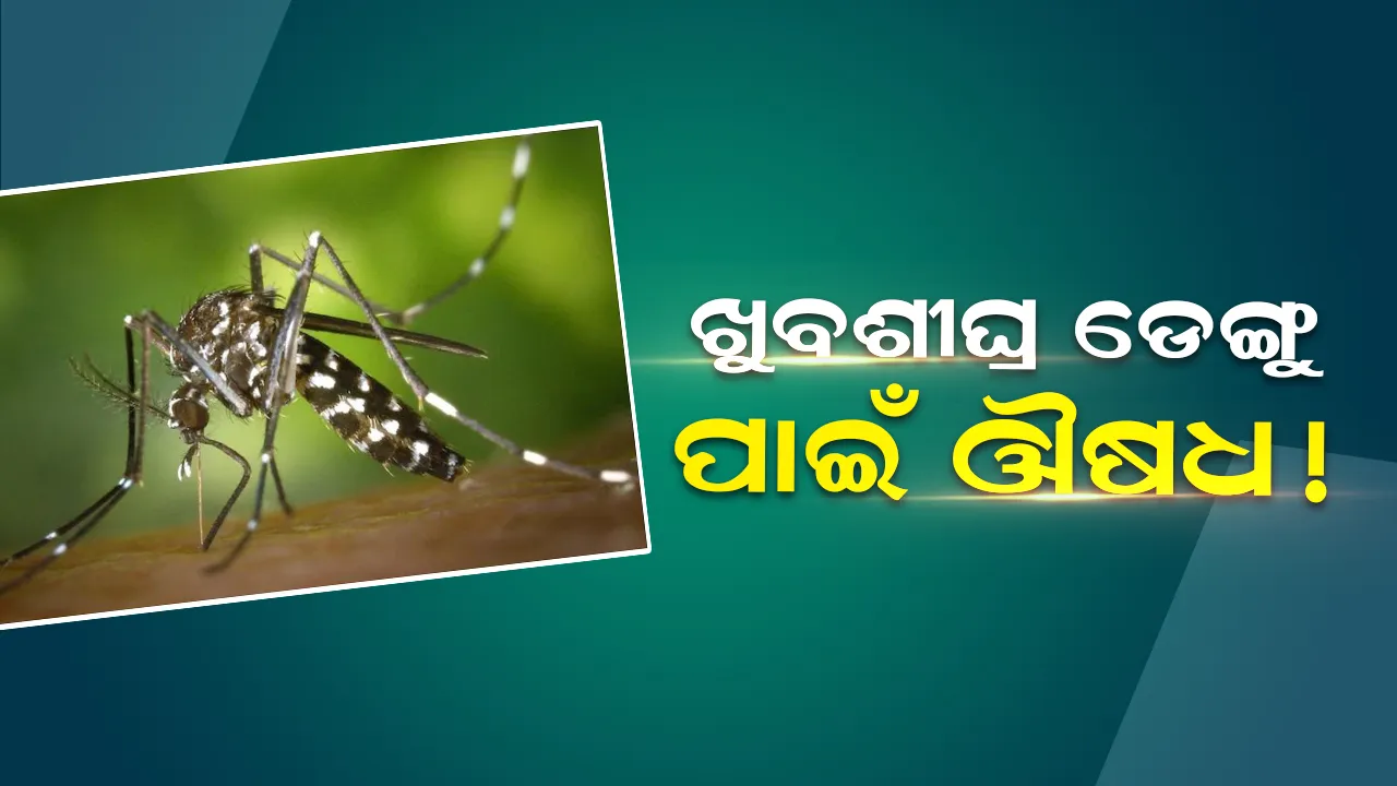  ଦେଶବାସୀଙ୍କ ପାଇଁ ଖୁସି ଖବର ଆଣିଲେ ଭାରତୀୟ ବୈଜ୍ଞାନିକ, ମିଳିଲା ଡେଙ୍ଗୁ ଔଷଧର ସନ୍ଧାନ