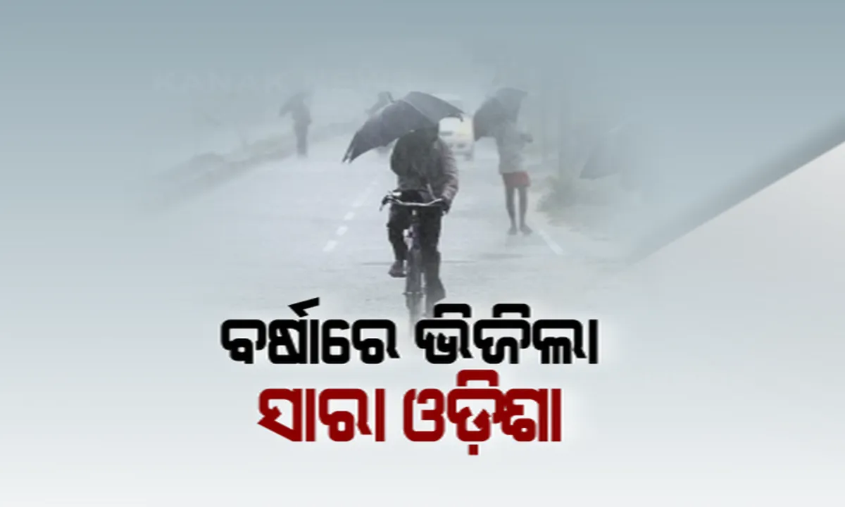  ଲଘୁଚାପ ବର୍ଷାରେ ଭିଜିଲା ଓଡିଶା । ପଢନ୍ତୁ, ବର୍ଷା ନେଇ କେଉଁ ଜିଲ୍ଲାକୁ ସତର୍କ କଲା ପାଣିପାଗ ବିଭାଗ...