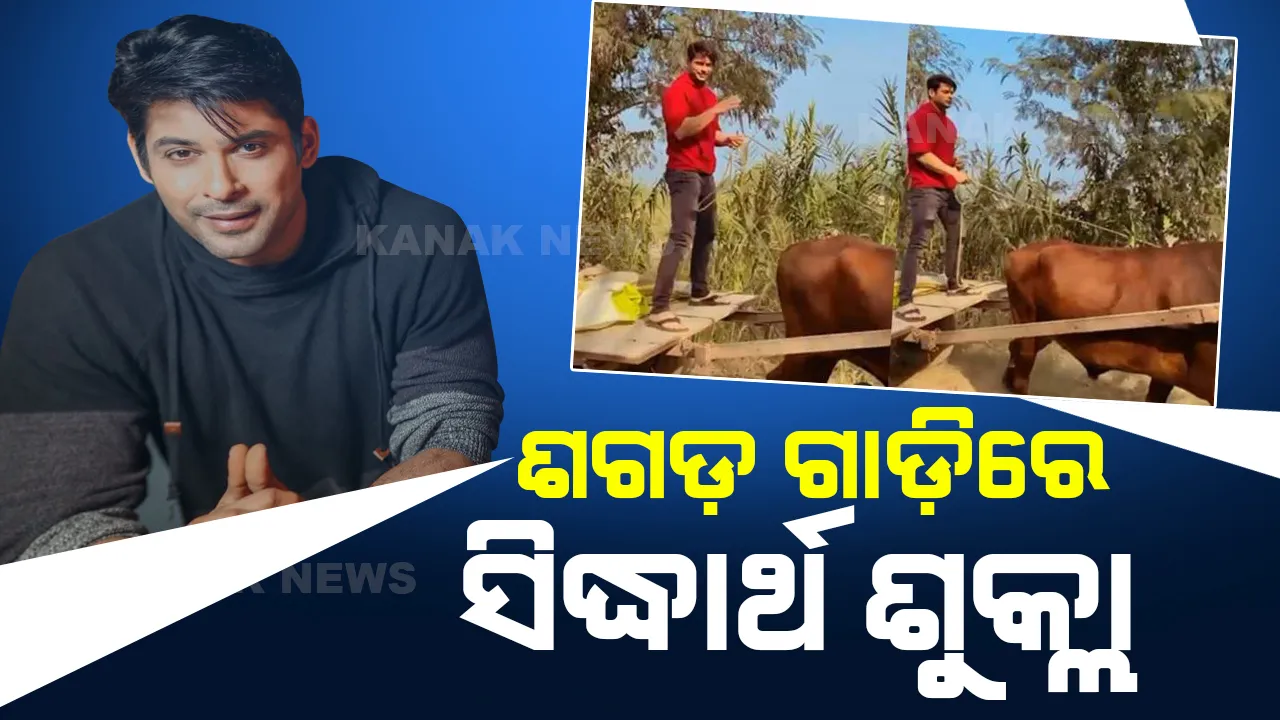  ଏମିତି ଜୀବନକୁ ଉପଭୋଗ କରୁଥିଲେ ସିଦ୍ଧାର୍ଥ । ହେଲେ ...