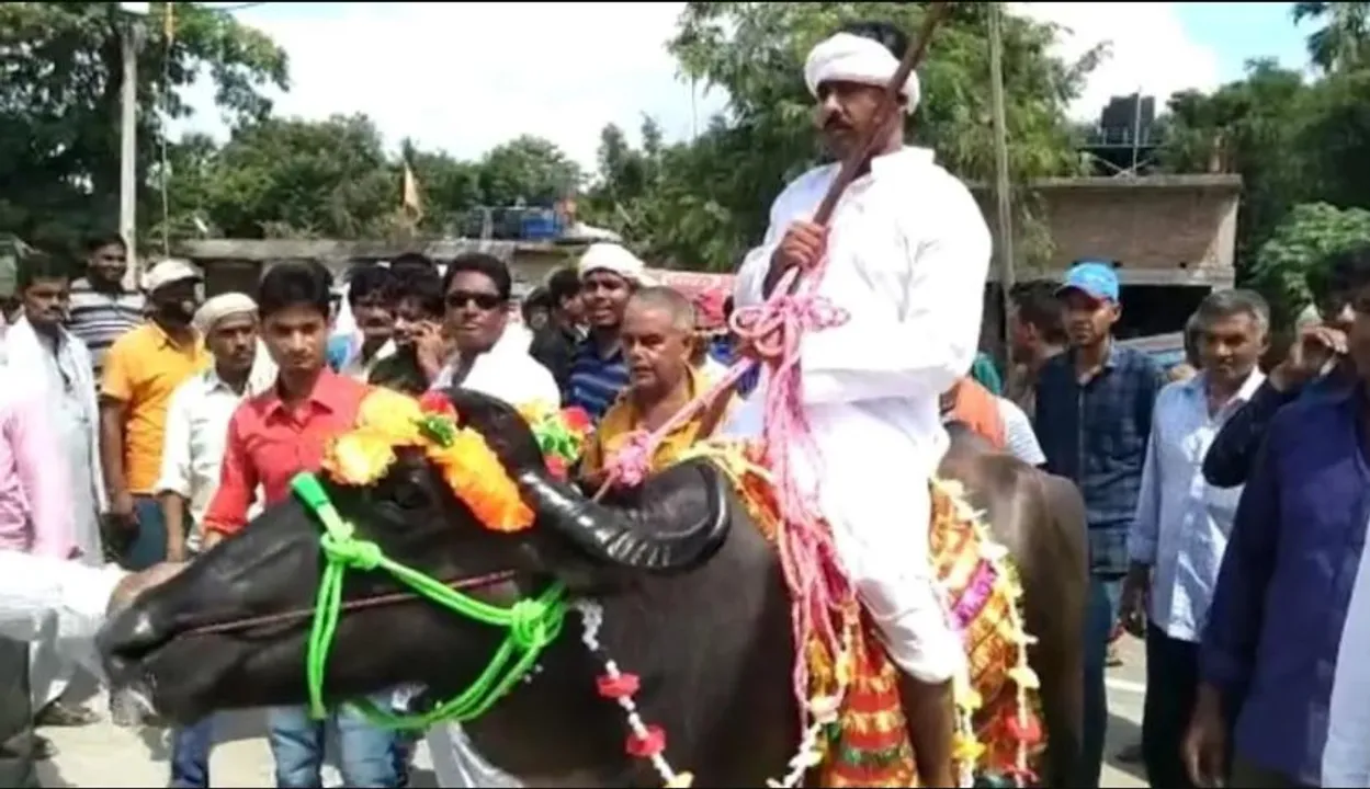  ପେଟ୍ରୋଲ ଦାମ ଅଧିକ ଥିବାରୁ...ମଇଁଷି ଉପରେ ବସି ପାର୍ଥୀପତ୍ର ଦାଖଲ କରିବାକୁ ଗଲେ ପ୍ରାର୍ଥୀ ।
