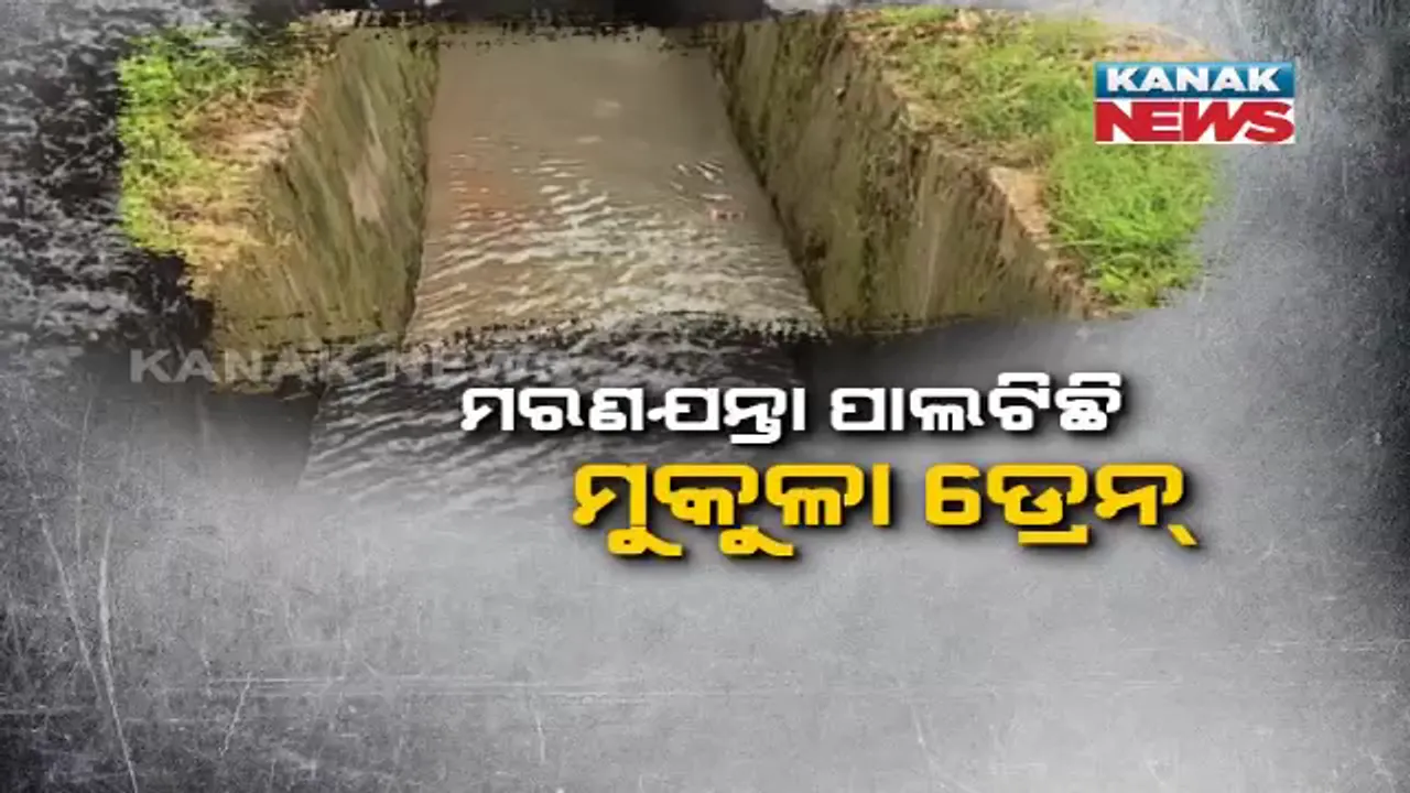  ରାଜଧାନୀରେ ମରଣଯନ୍ତା ପାଲଟିଛି ମୁକୁଳା ଡ୍ରେନ । ଉତ୍ତରଦାୟୀ ରହିବେ କି ବିଏମସି କମିସନର ଓ ନଗର ଉନ୍ନୟନ ସଚିବ?