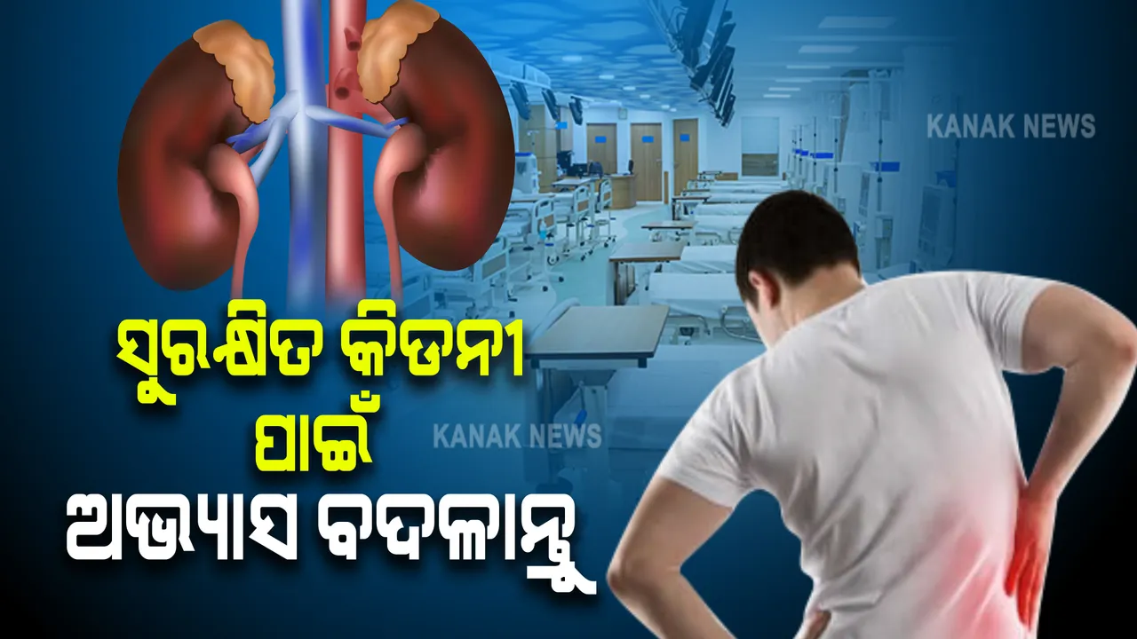  କିଡନୀ ଖରାପ କରିପାରେ ଏସବୁ ଅଭ୍ୟାସ: ଯଥାଶୀଘ୍ର ସୁଧାରିନେବାକୁ ଚେଷ୍ଟା କରନ୍ତୁ ।
