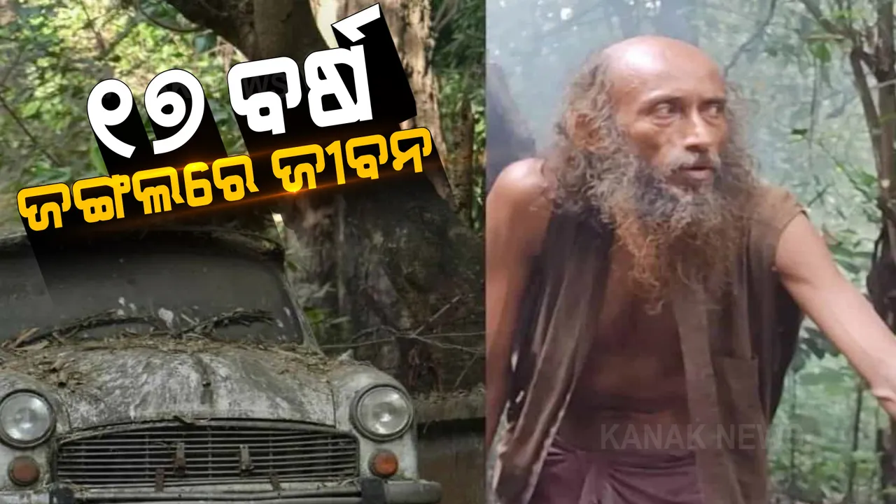  ସୁଝି ପାରିଲେନି ବ୍ୟାଙ୍କ ଲୋନ୍: ୧୭ ବର୍ଷ ଧରି ଜଙ୍ଗଲରେ କଟୁଛି ଜୀବନ