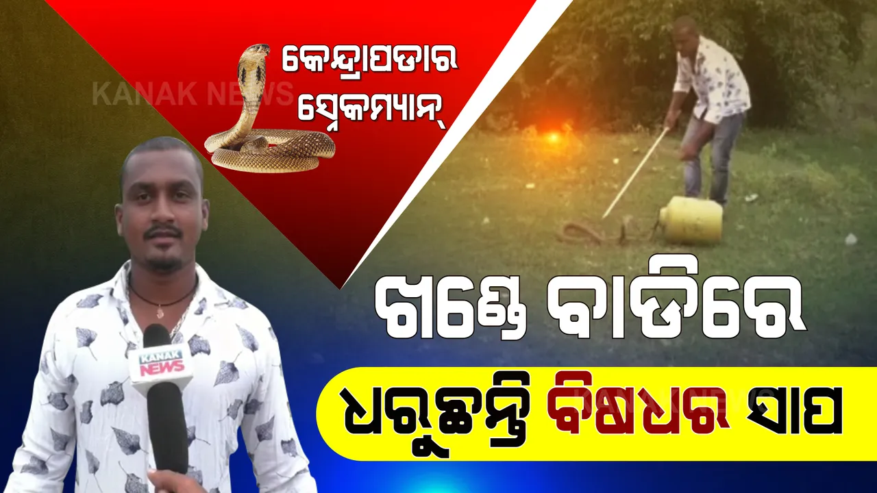  ତମ୍ପଠୁ ନାଗ... ସାପ ବାହାରିଲେ ସମସ୍ତେ ଡାକନ୍ତି ତପନ ତପନ... ବାଡି ଖଣ୍ଡେ ଧରି ବିଷଧର ସାପକୁ କରନ୍ତି କାବୁ ।