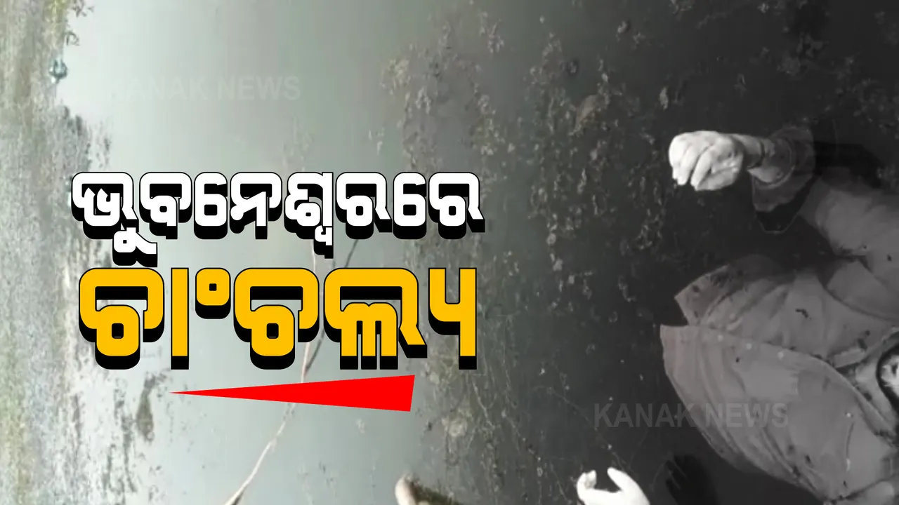  ଭୁବନେଶ୍ୱରରେ ଚାଞ୍ଚଲ୍ୟ । ପାତ୍ରପଡ଼ାର ଏକ ପୋଖରୀରୁ ଯୁବକଙ୍କ ମୃତଦେହ ଉଦ୍ଧାର । ହତ୍ୟା କରାଯାଇଥିବା ସନ୍ଦେହ