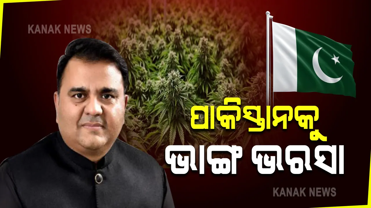  ପାକିସ୍ତାନରେ କାଙ୍ଗାଳ ଅବସ୍ଥା: ଆର୍ଥିକ ଅବସ୍ଥା ସୁଧାରିବାକୁ ଭାଙ୍ଗକୁ ଭରସା କଲେ ସରକାର