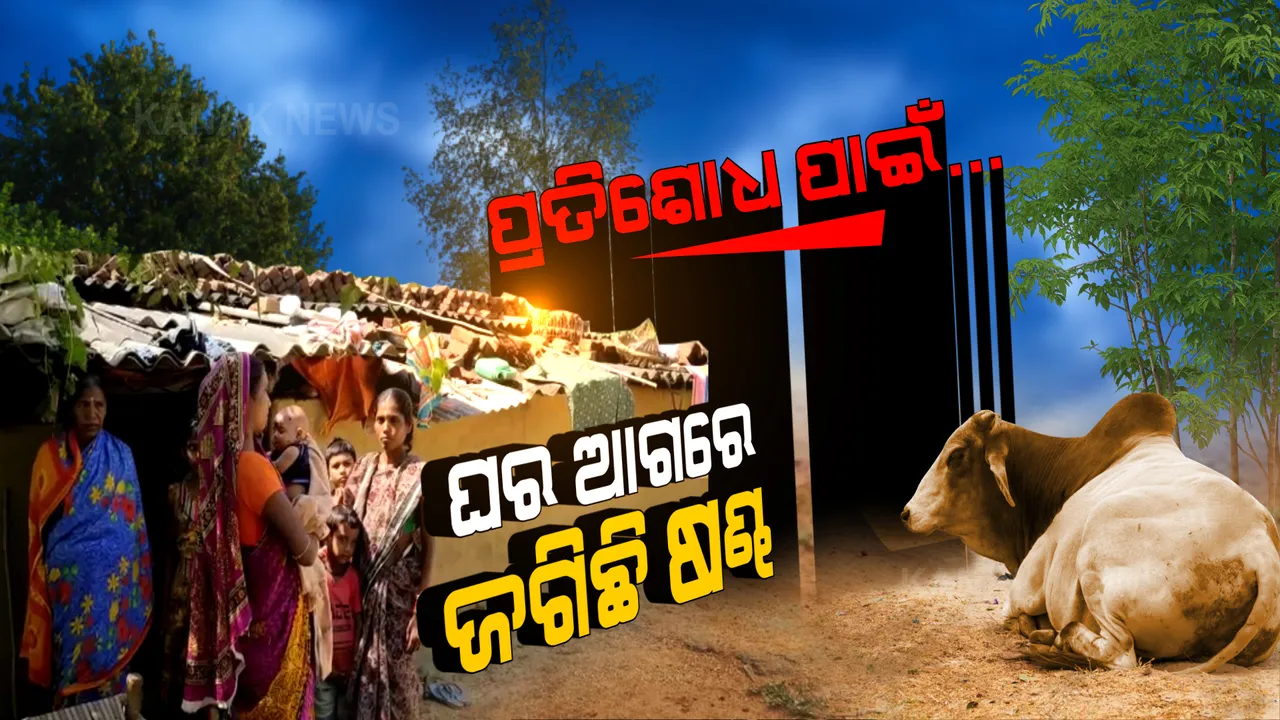  ପ୍ରତିଶୋଧ ନେବାକୁ ଘର ଆଗରେ ଜଗିଛି ଷଣ୍ଢ! ଭୟରେ ଘର ଛାଡି ସମ୍ପର୍କୀୟଙ୍କ ଘରେ ରହୁଛନ୍ତି ପରିବାର