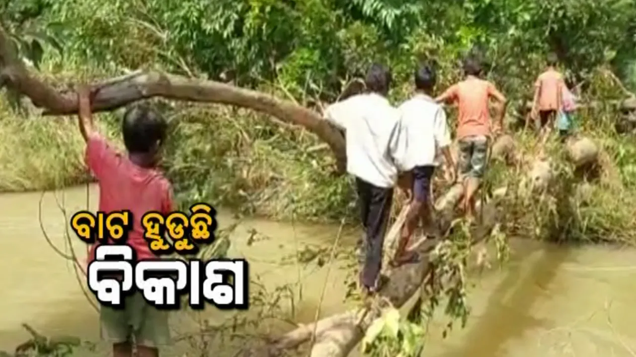  ବାଟ ହୁଡୁଛି ବିକାଶ : ପୋଲ ନଥିବାରୁ ମୋହନା ବ୍ଲକର ୩ଟି ଗାଁରେ କାଠ ଗଣ୍ଡି ପାଲଟିଛି ସାହାରା
